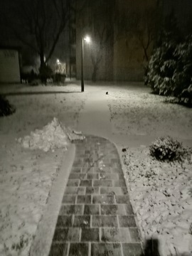 pic