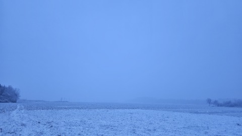 pic