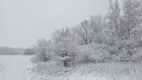 pic