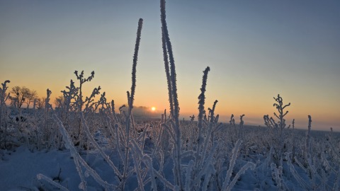 pic