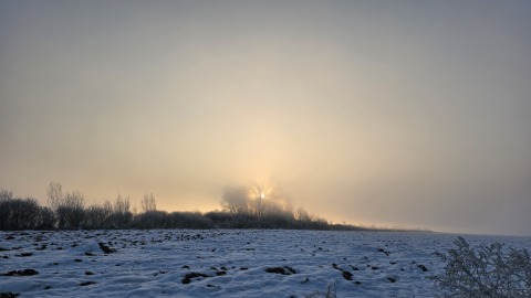 pic