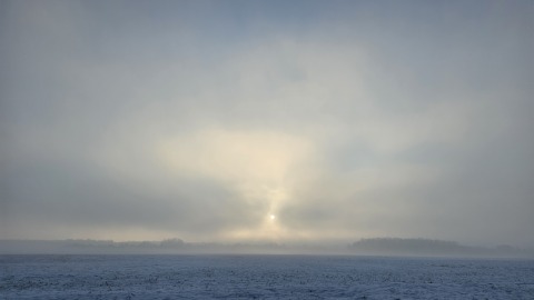 pic
