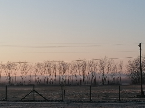 pic