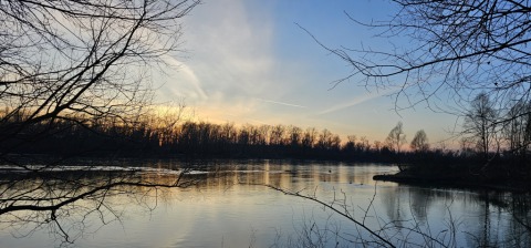 pic