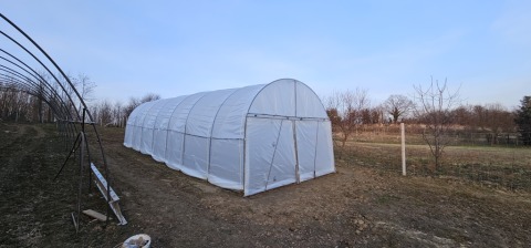 pic