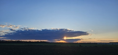 pic
