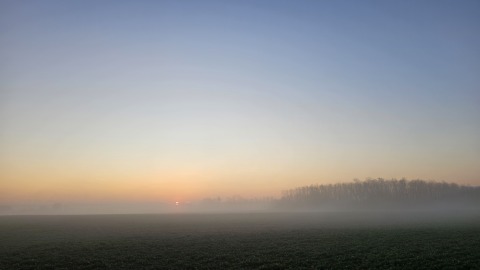 pic