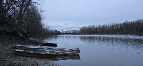 pic