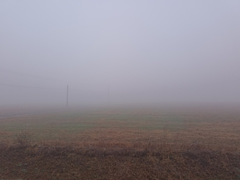 pic