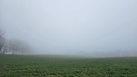 pic