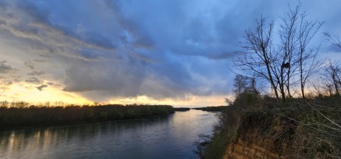 pic