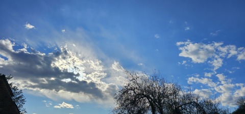 pic