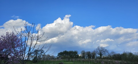 pic