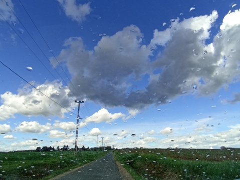 pic