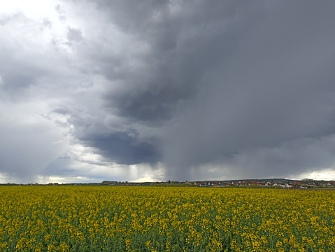 pic