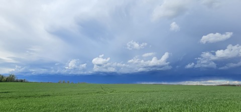 pic
