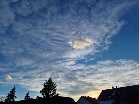 pic