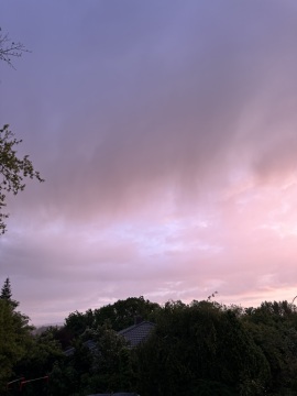 pic