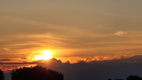 pic