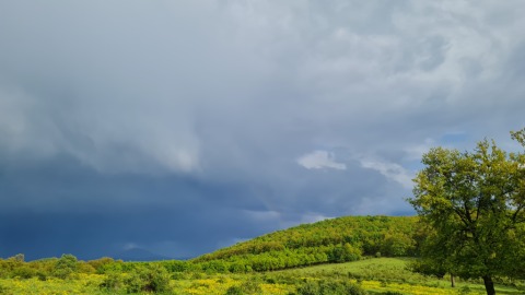 pic