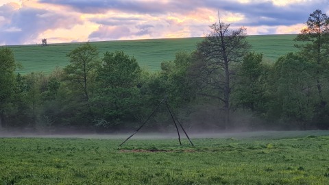 pic