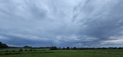pic