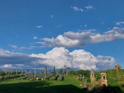 pic