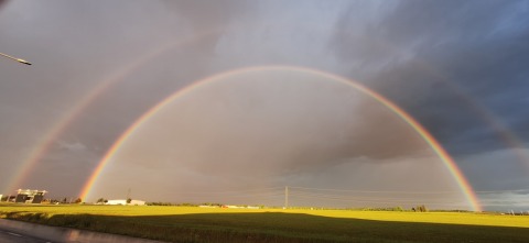 pic