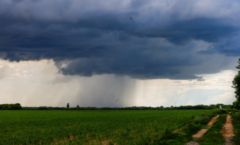 pic