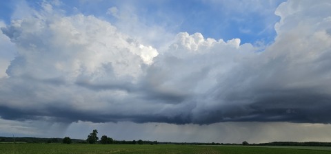 pic