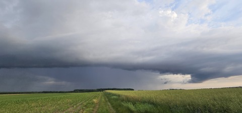 pic