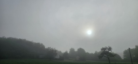 pic