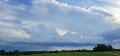 pic