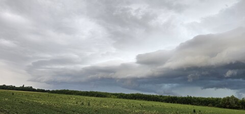 pic