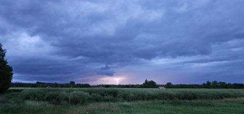 pic