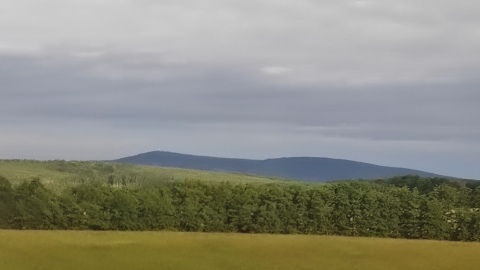 pic