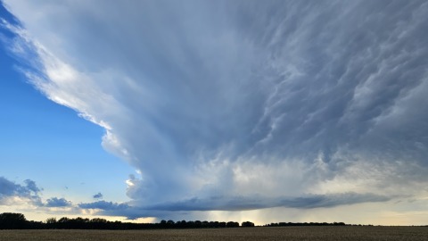 pic