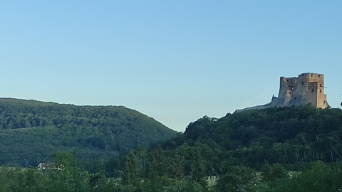 pic