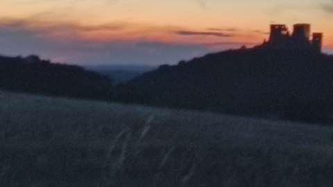 pic