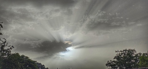 pic