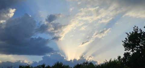 pic