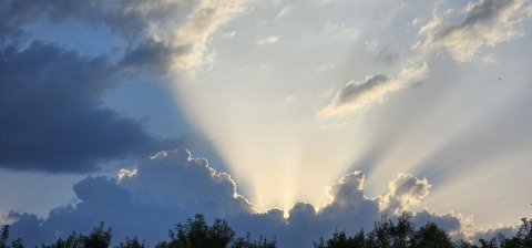 pic