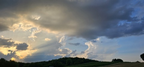 pic