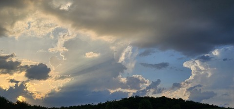 pic