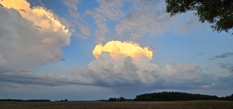 pic