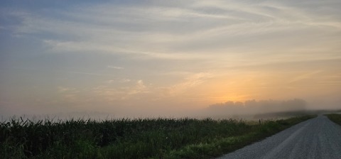 pic