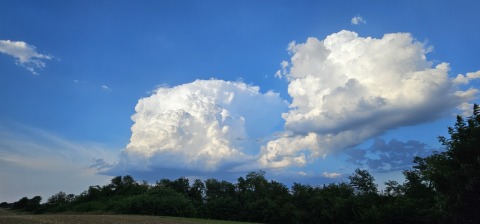 pic