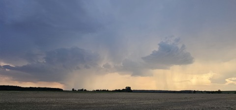 pic
