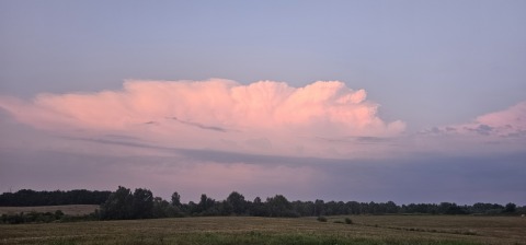 pic