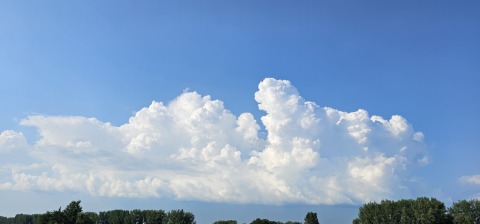 pic